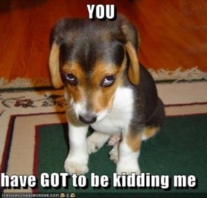 You have got to be kidding me