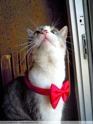 AIR Figment Watermark