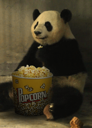 Panda Eating Popcorn