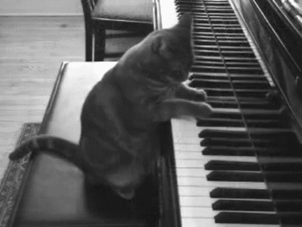 Cat Playing Piano 1