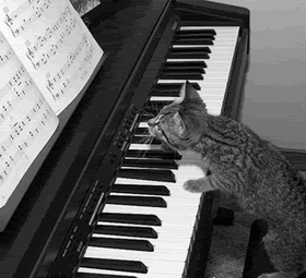 CatPlayingPiano